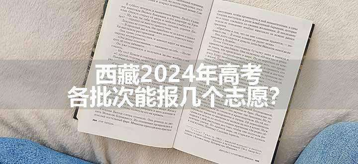 西藏2024年高考各批次能报几个志愿？