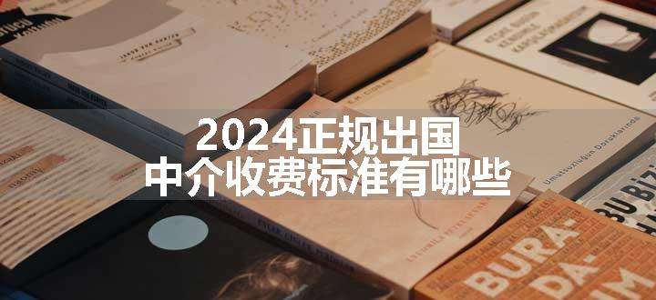 2024正规出国中介收费标准有哪些