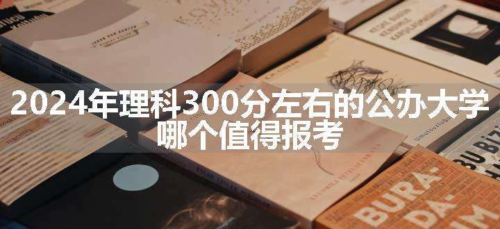 2024年理科300分左右的公办大学 哪个值得报考