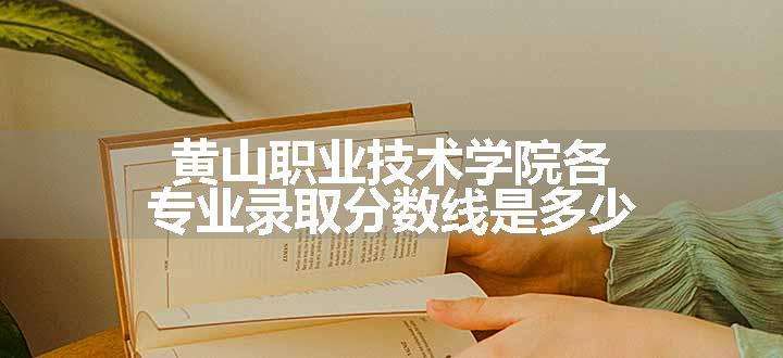 黄山职业技术学院各专业录取分数线是多少