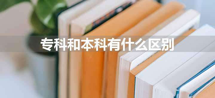 专科和本科有什么区别