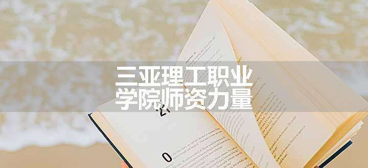 三亚理工职业学院师资力量