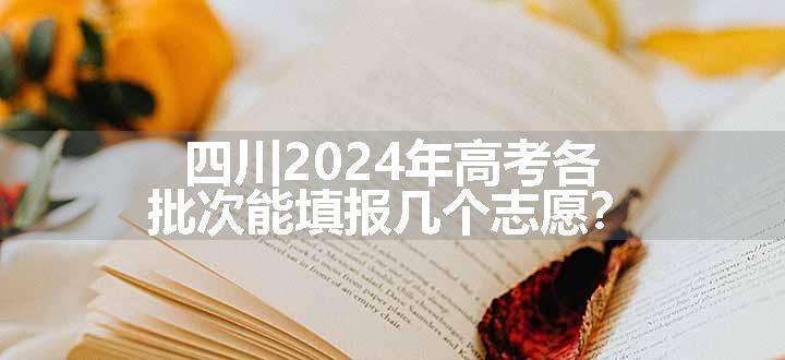 四川2024年高考各批次能填报几个志愿？