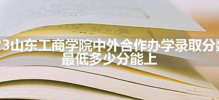 2023山东工商学院中外合作办学录取分数线 最低多少分能上