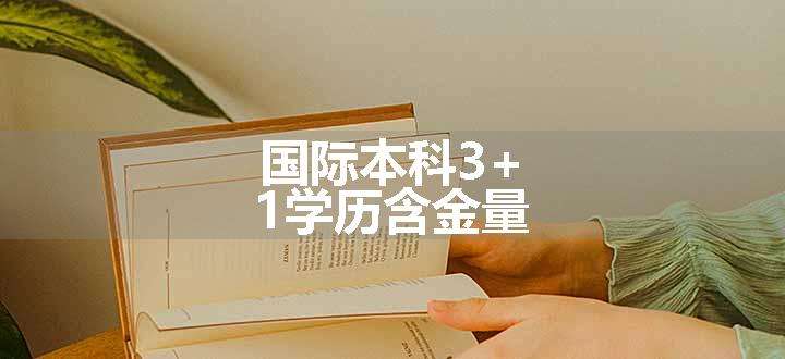 国际本科3+1学历含金量