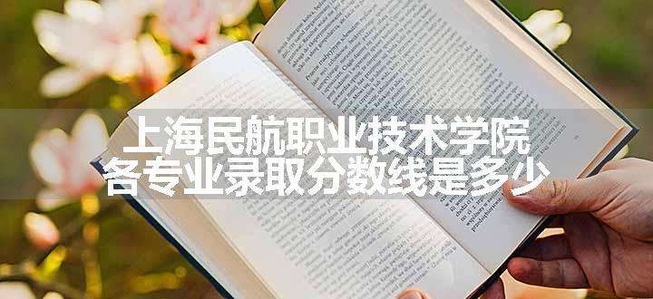 上海民航职业技术学院各专业录取分数线是多少