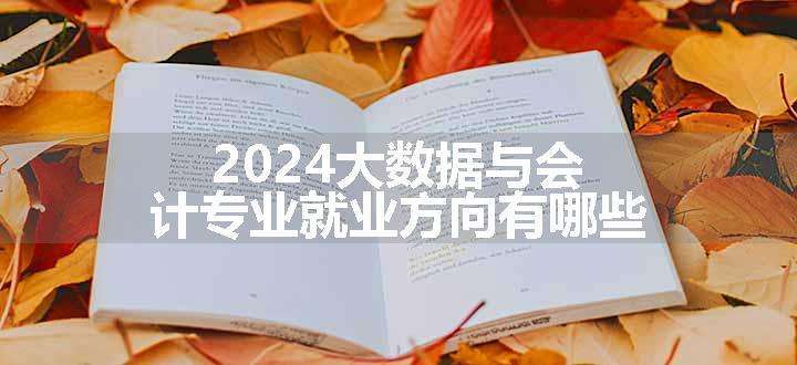 2024大数据与会计专业就业方向有哪些