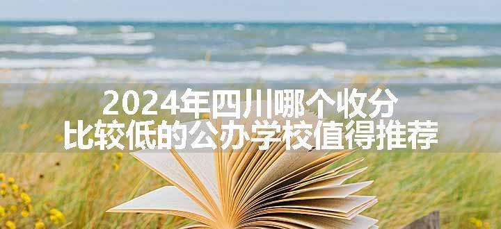 2024年四川哪个收分比较低的公办学校值得推荐