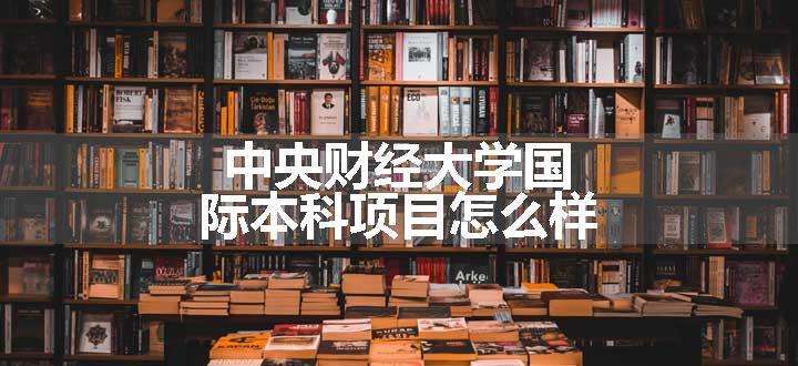 中央财经大学国际本科项目怎么样