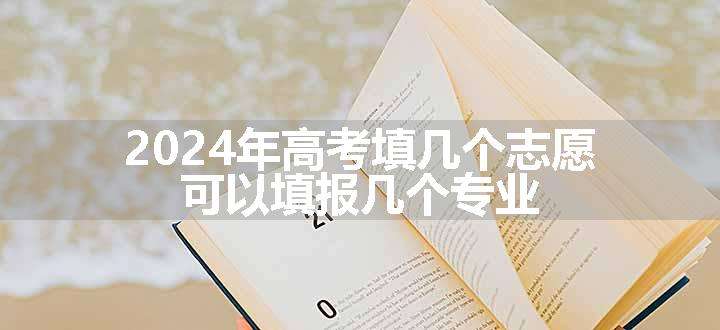 2024年高考填几个志愿 可以填报几个专业