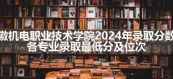 安徽机电职业技术学院2024年录取分数线 各专业录取最低分及位次