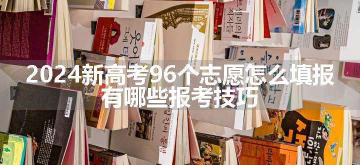 2024新高考96个志愿怎么填报 有哪些报考技巧