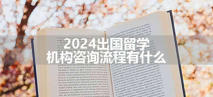 2024出国留学机构咨询流程有什么