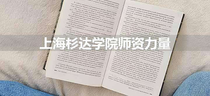 上海杉达学院师资力量