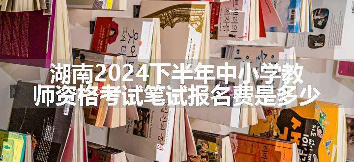 湖南2024下半年中小学教师资格考试笔试报名费是多少