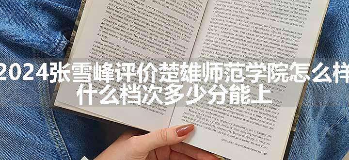 2024张雪峰评价楚雄师范学院怎么样 什么档次多少分能上