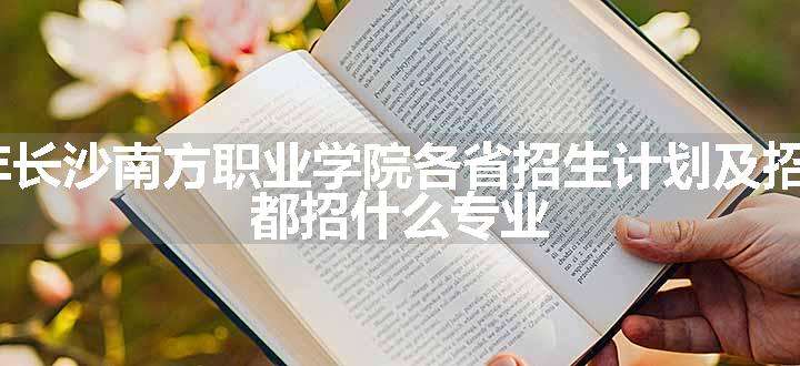 2024年长沙南方职业学院各省招生计划及招生人数 都招什么专业