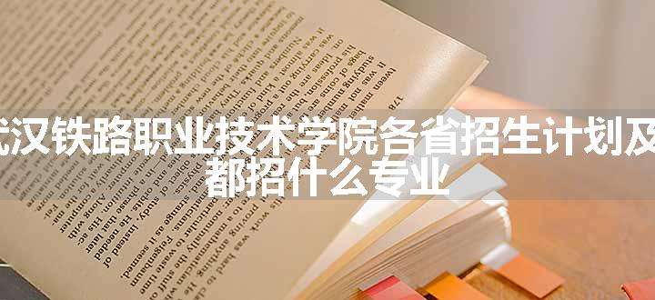 2024年武汉铁路职业技术学院各省招生计划及招生人数 都招什么专业