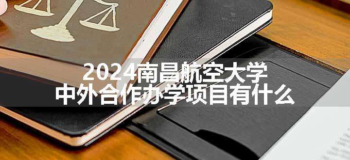 2024南昌航空大学中外合作办学项目有什么