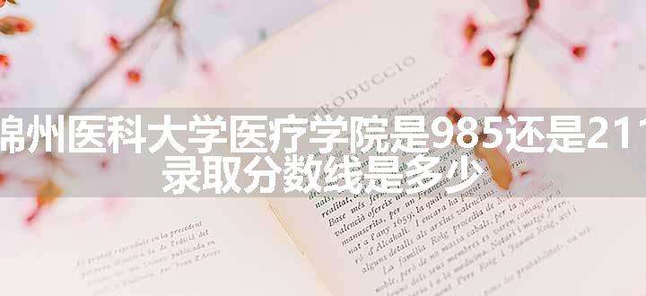 锦州医科大学医疗学院是985还是211 录取分数线是多少