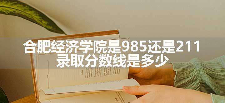 合肥经济学院是985还是211 录取分数线是多少