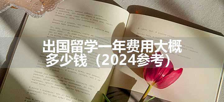 出国留学一年费用大概多少钱（2024参考）