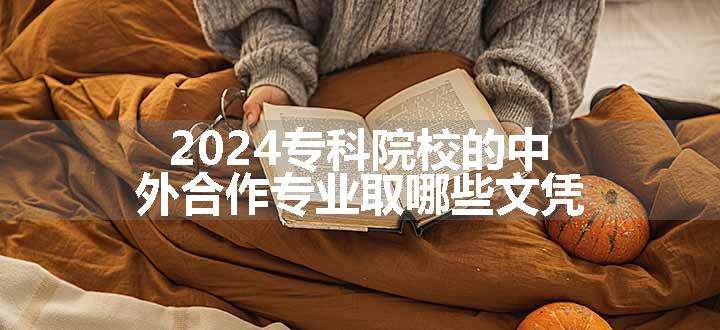 2024专科院校的中外合作专业取哪些文凭