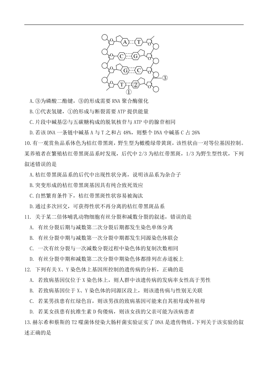 四川省眉山市东坡区2023-2024学年高一下学期期中考试生物试卷（含答案）