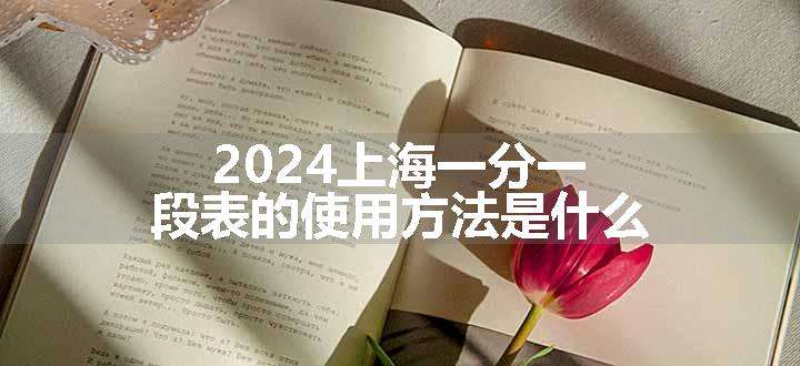 2024上海一分一段表的使用方法是什么