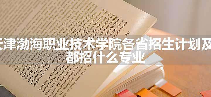 2024年天津渤海职业技术学院各省招生计划及招生人数 都招什么专业