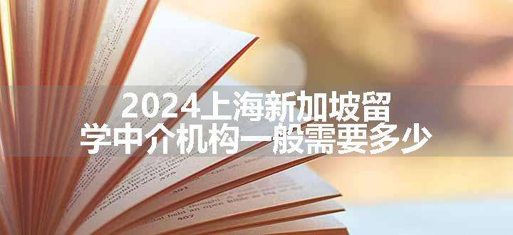 2024上海新加坡留学中介机构一般需要多少