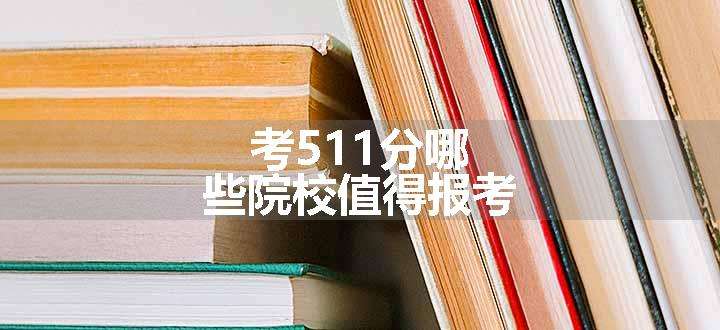 考511分哪些院校值得报考