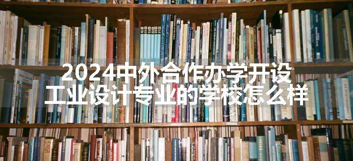 2024中外合作办学开设工业设计专业的学校怎么样