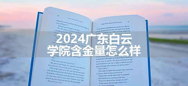 2024广东白云学院含金量怎么样