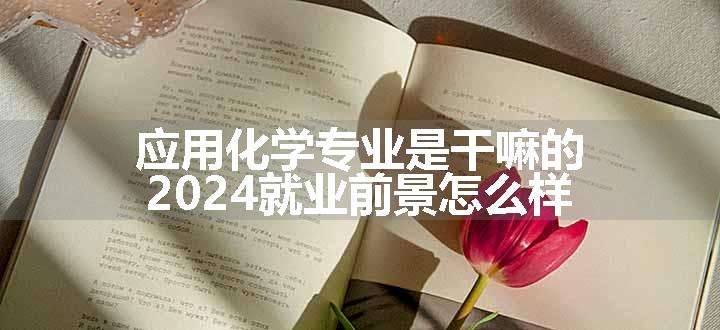 应用化学专业是干嘛的 2024就业前景怎么样