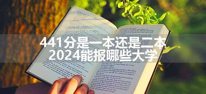 441分是一本还是二本 2024能报哪些大学