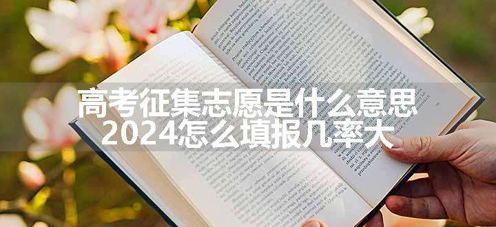 高考征集志愿是什么意思 2024怎么填报几率大