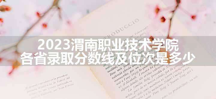 2023渭南职业技术学院各省录取分数线及位次是多少