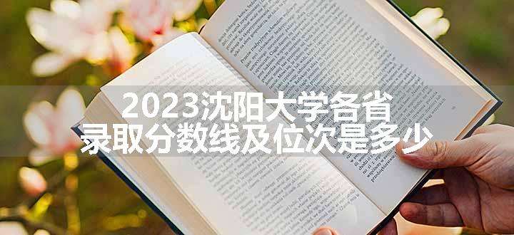 2023沈阳大学各省录取分数线及位次是多少