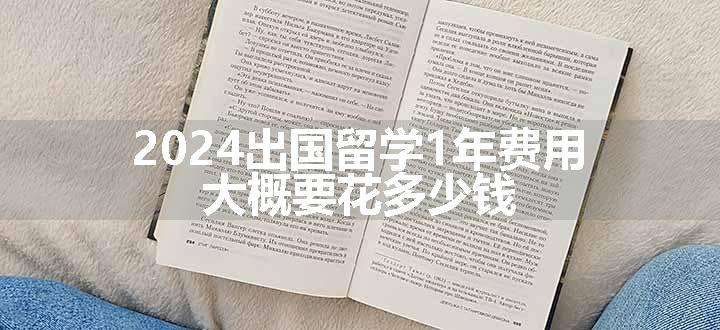 2024出国留学1年费用 大概要花多少钱