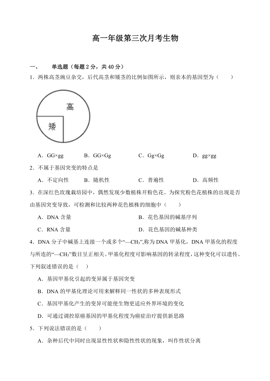 山西省临汾市侯马市第一中学校2023-2024学年高一下学期第三次月考生物试题（无答案）