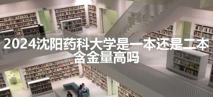 2024沈阳药科大学是一本还是二本 含金量高吗