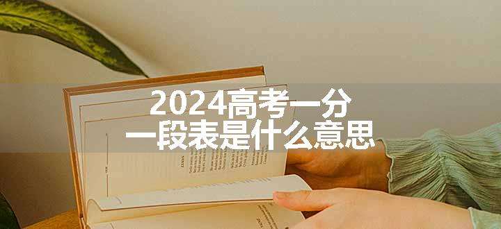 2024高考一分一段表是什么意思