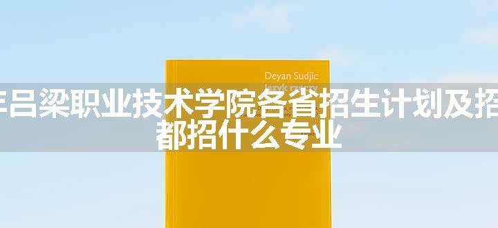 2024年吕梁职业技术学院各省招生计划及招生人数 都招什么专业