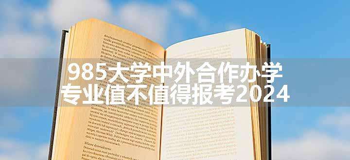 985大学中外合作办学专业值不值得报考2024