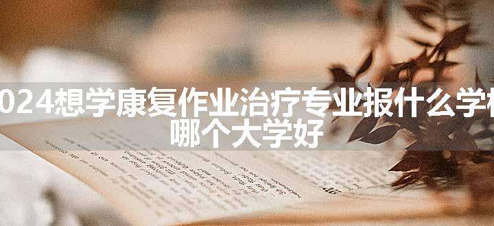 2024想学康复作业治疗专业报什么学校 哪个大学好