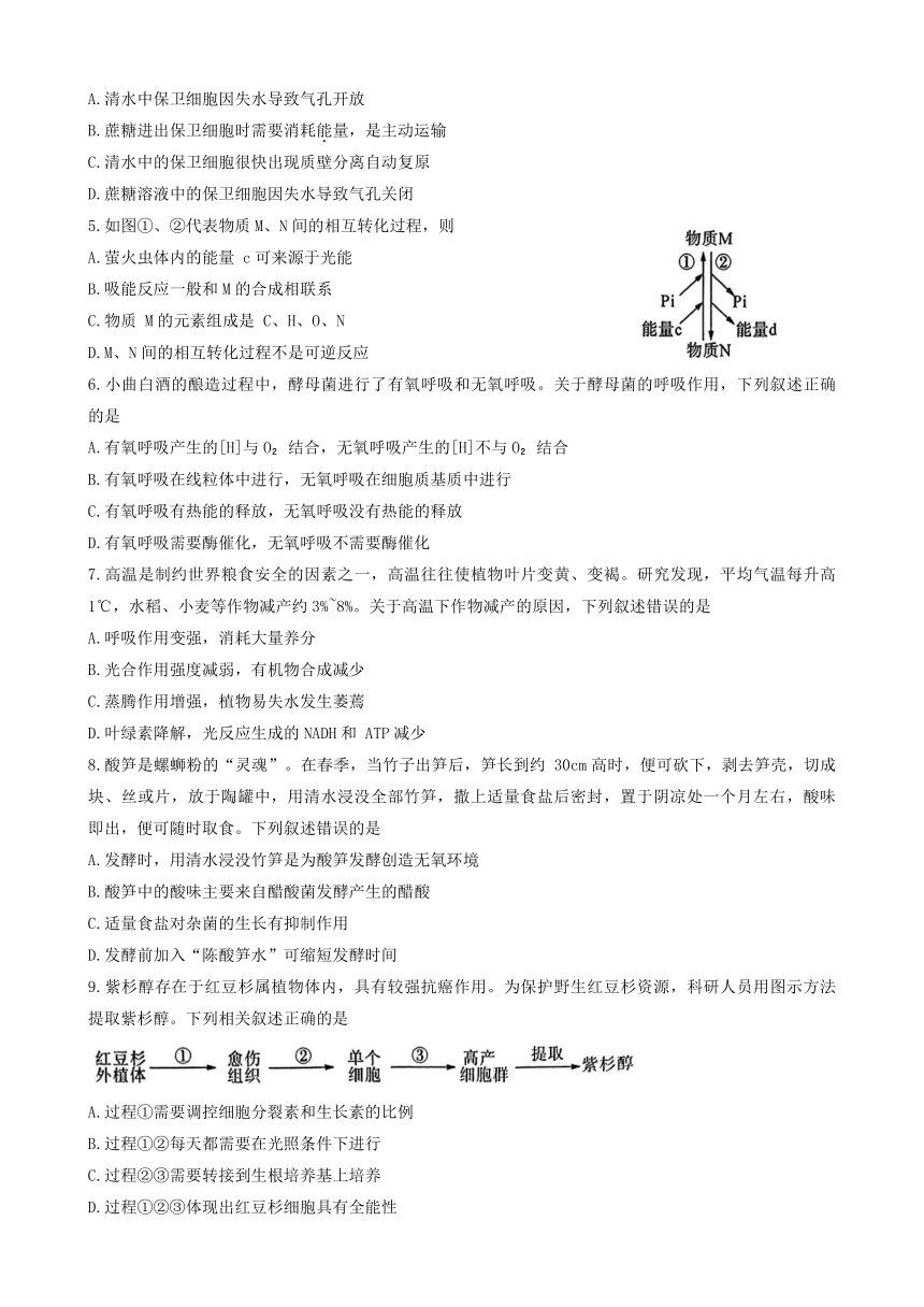 河南省百师联盟联考2023-2024学年高二下学期6月月考生物试题（有解析）