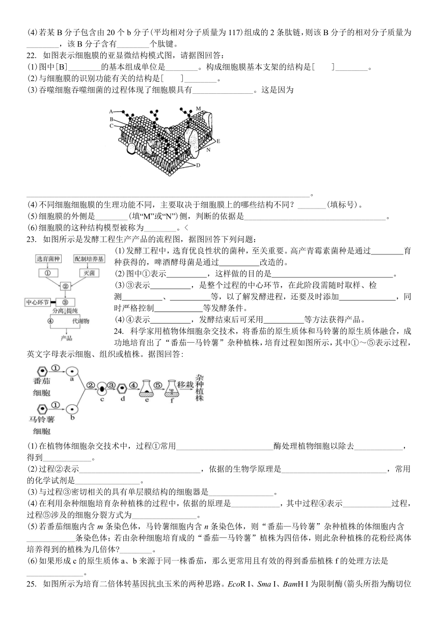 吉林省白城市第一中学2023-2024学年高二下学期6月月考试题 生物 （含解析）