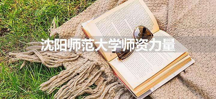 沈阳师范大学师资力量