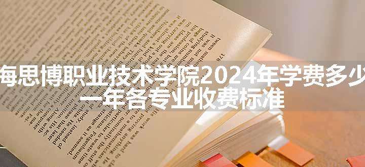 上海思博职业技术学院2024年学费多少钱 一年各专业收费标准